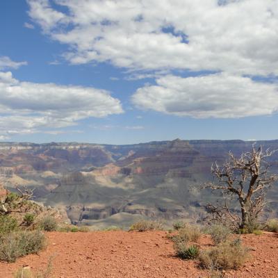 Grand-canyon-17