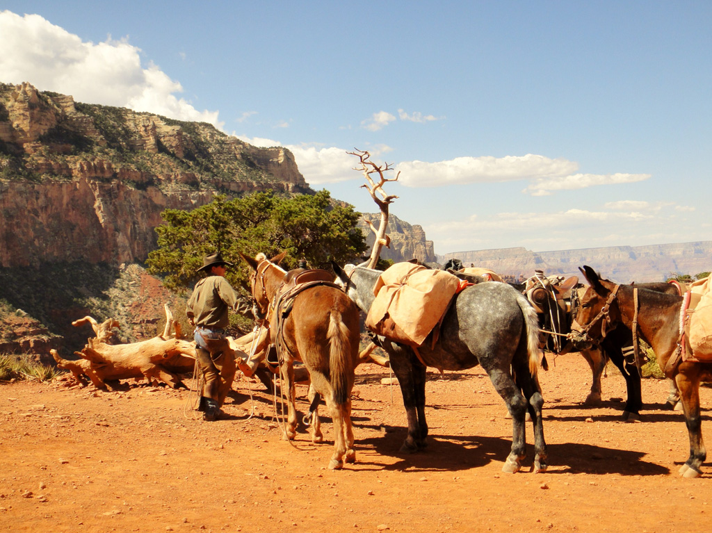 Grand-canyon-19