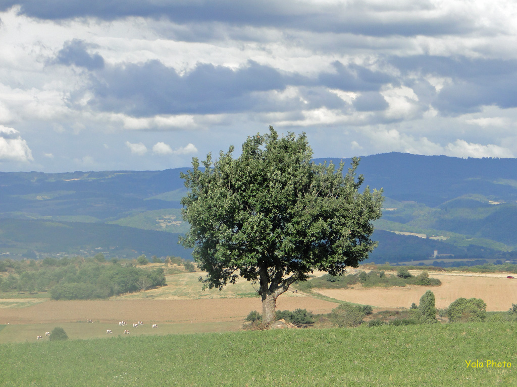 Haute-Loire-E16