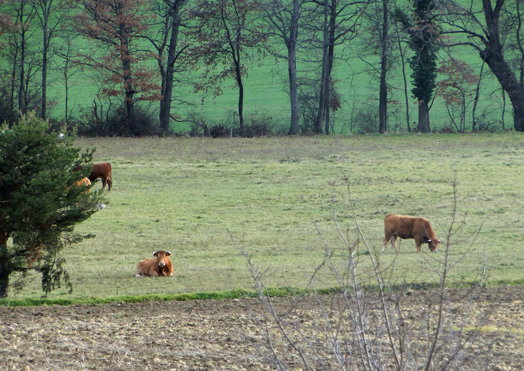 Hloire2