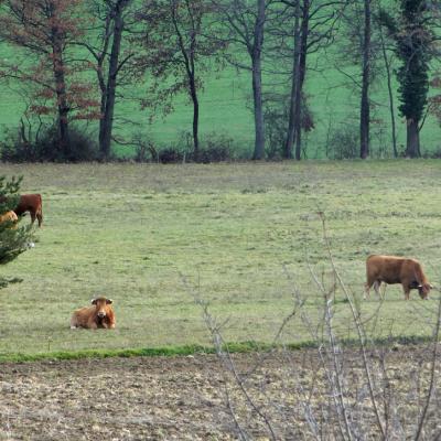 Hloire2