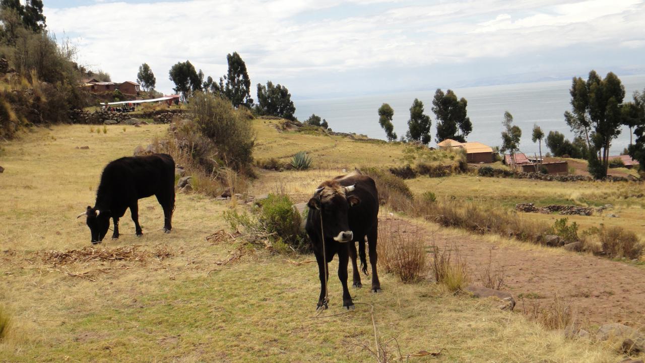 Ile-de-Taquile1