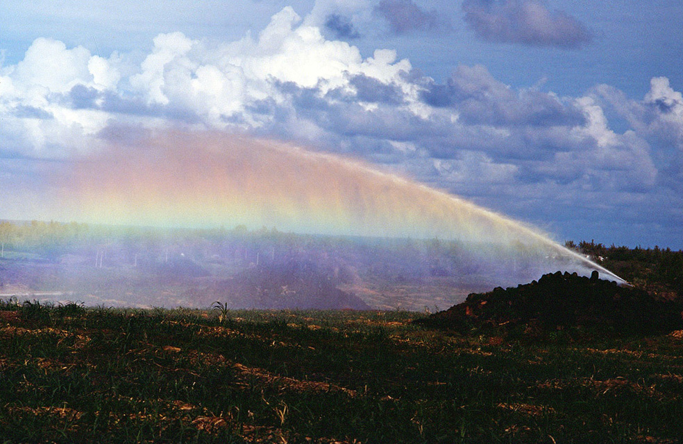 Arc-en-ciel d'arrosage