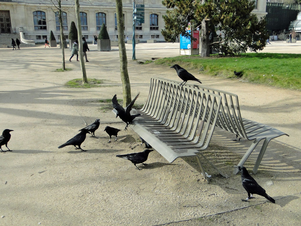 Jardin-des-plantes