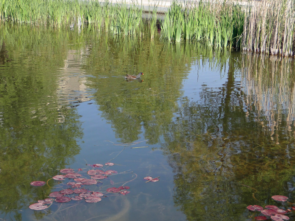 Jardin parisien