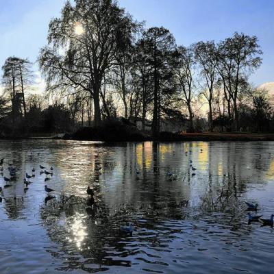 Lac Daumesnil