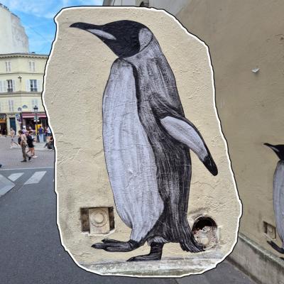 Lezarts25m