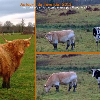 Limousin2013