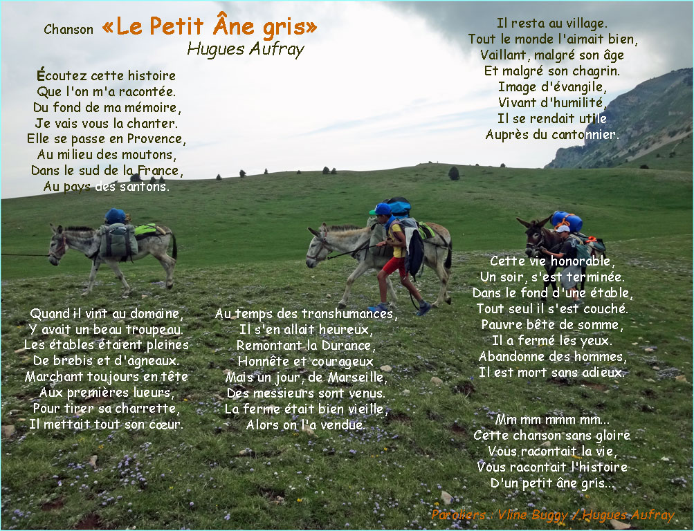 201906-le petit âne gris