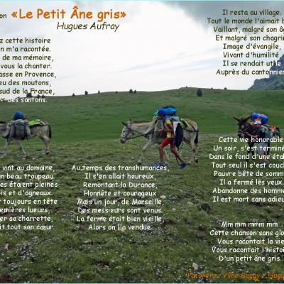 201906-le petit âne gris