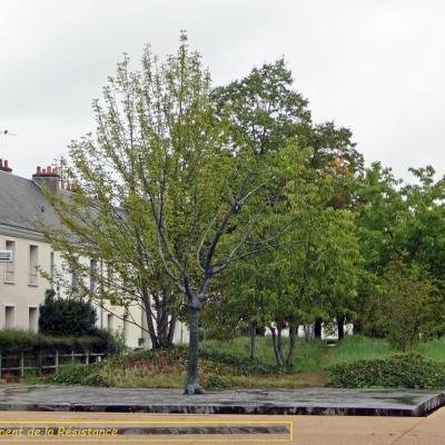 Monument de la Résistance