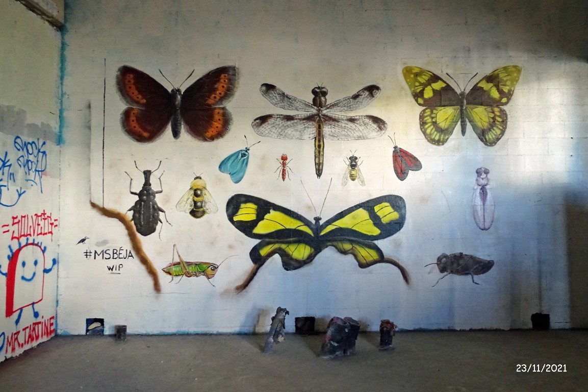 Mur insectes2