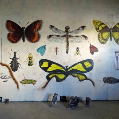 Mur insectes2