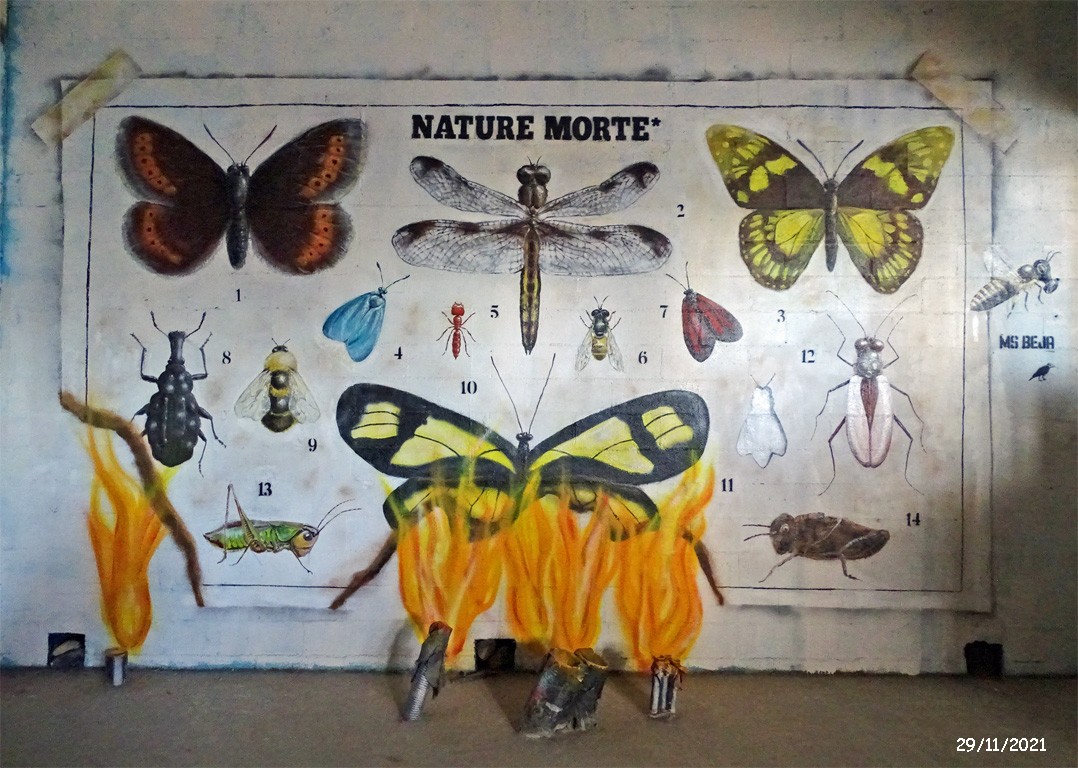 Mur insectes3