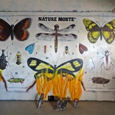 Mur insectes3