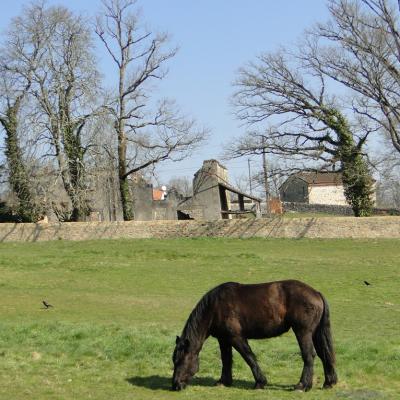 Oradour1