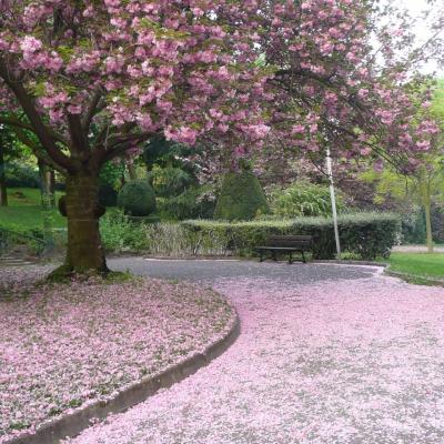 passant par le parc Henri-Barbusse