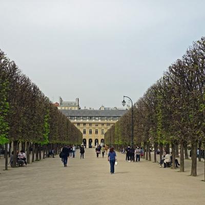 Palais royal 3