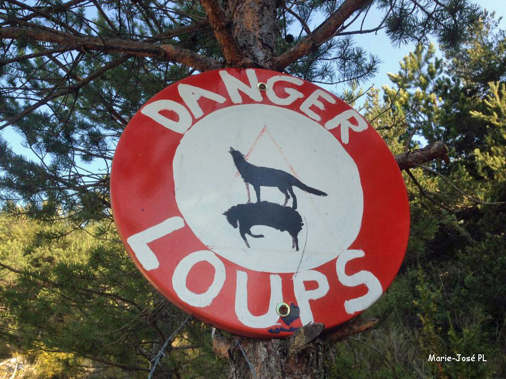 pan-loup