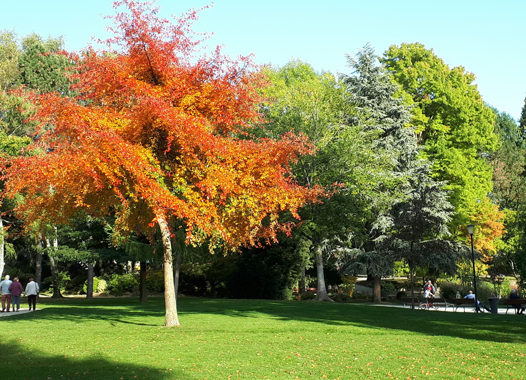 Parc-Limoges