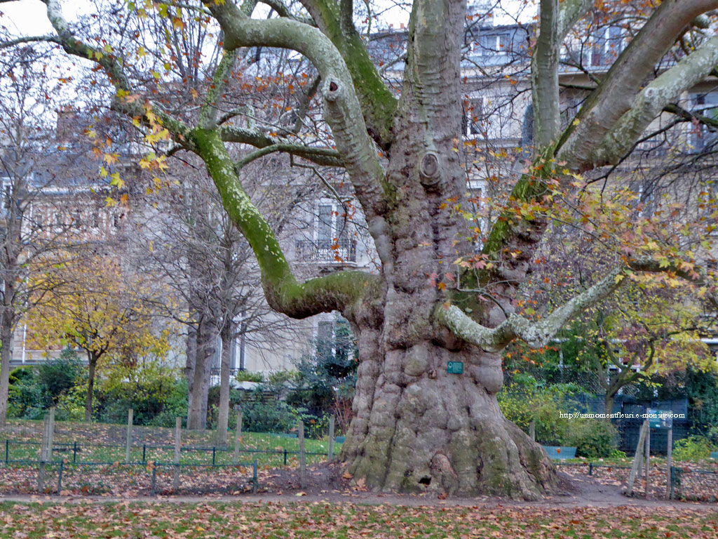 Parc-Monceau