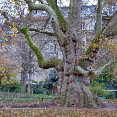 Parc-Monceau