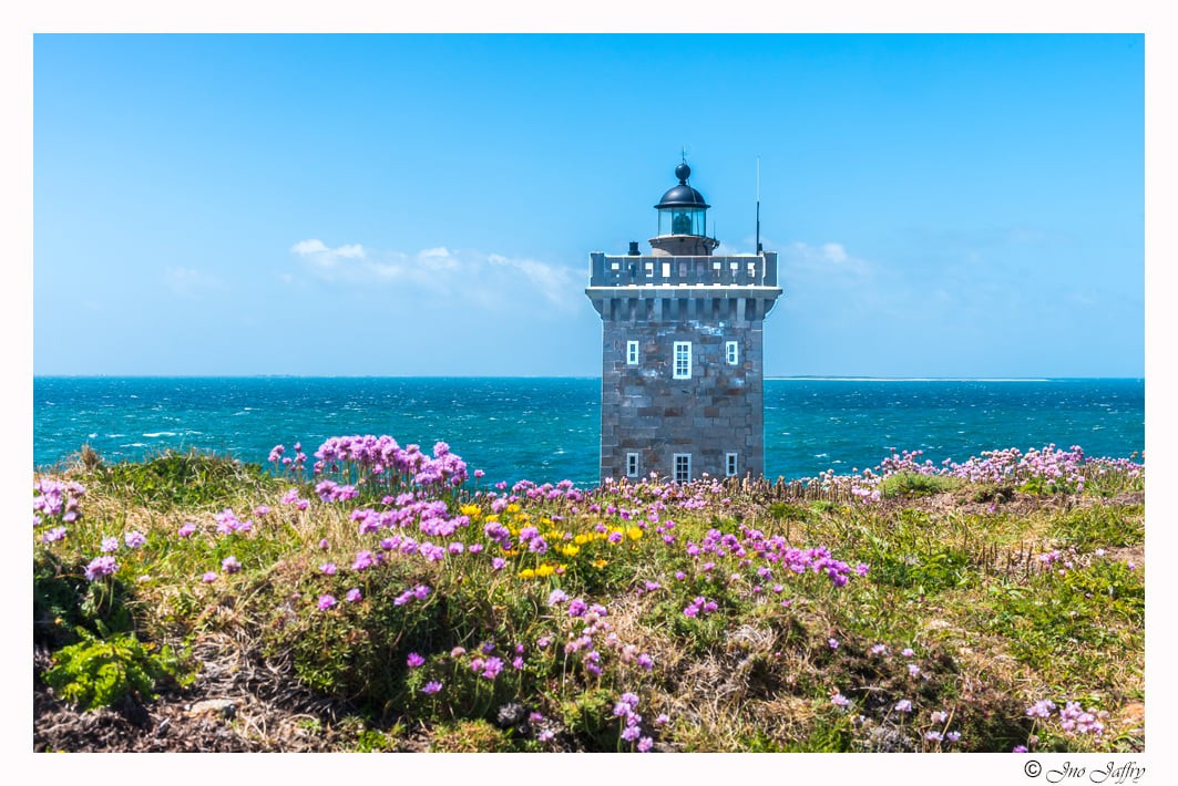 Phare fleuri