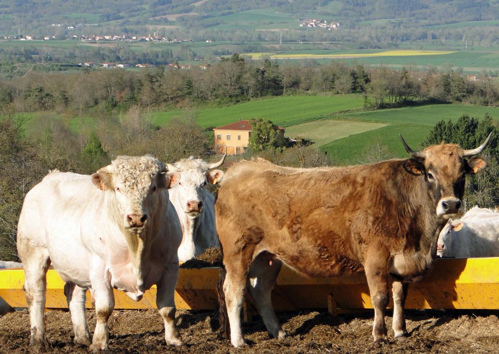 Photo-de-famille2