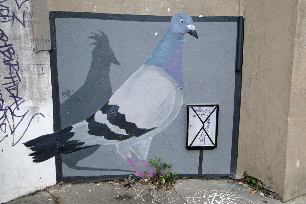 Pigeon2