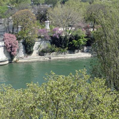 printemps-sur-Seine