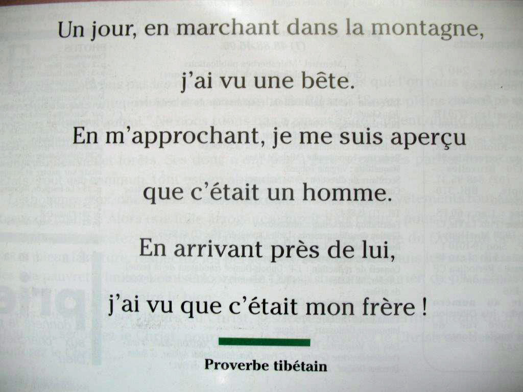 Proverbe