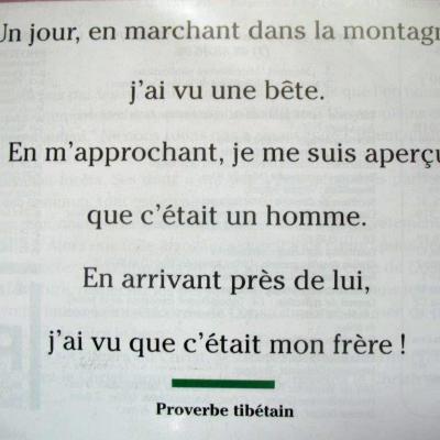 Proverbe