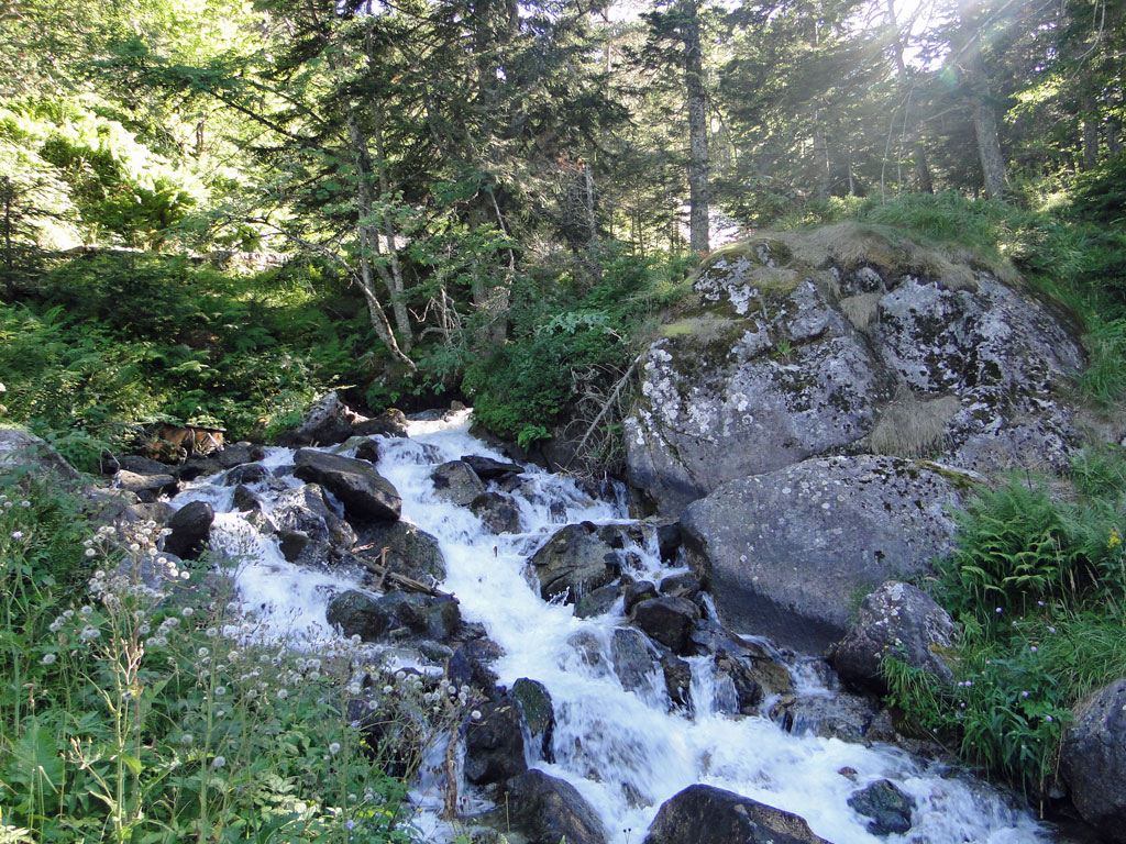 Pyrénées1