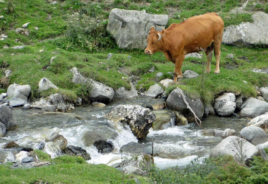 Pyrénées4