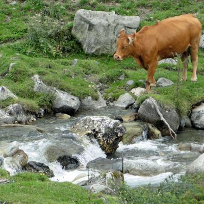 Pyrénées4