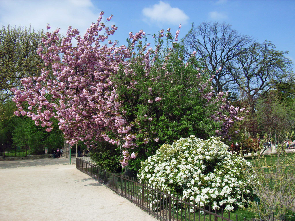 Jardin des plantes 2