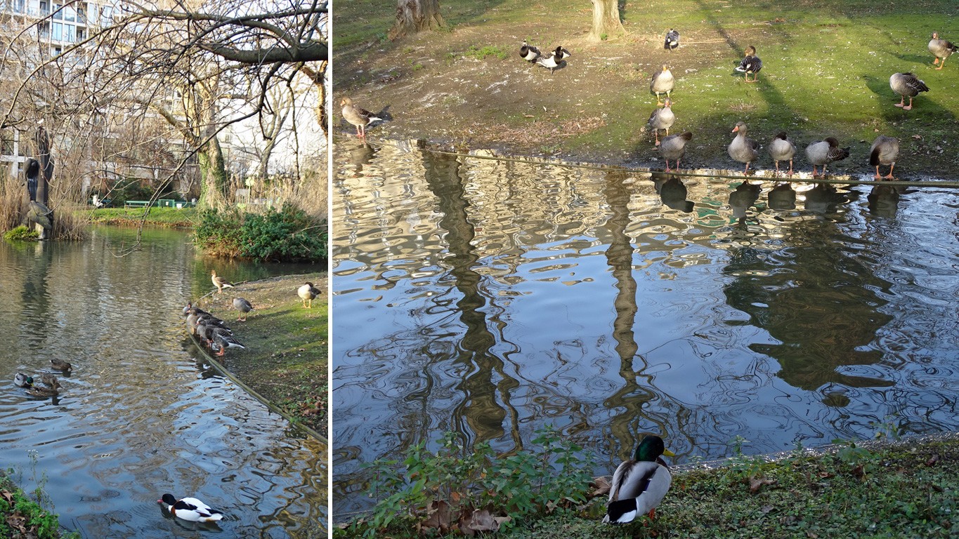 Reflet groupe