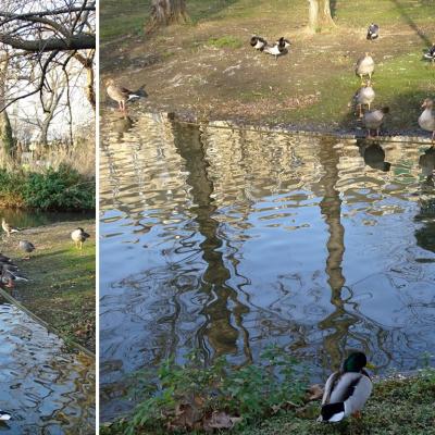 Reflet groupe