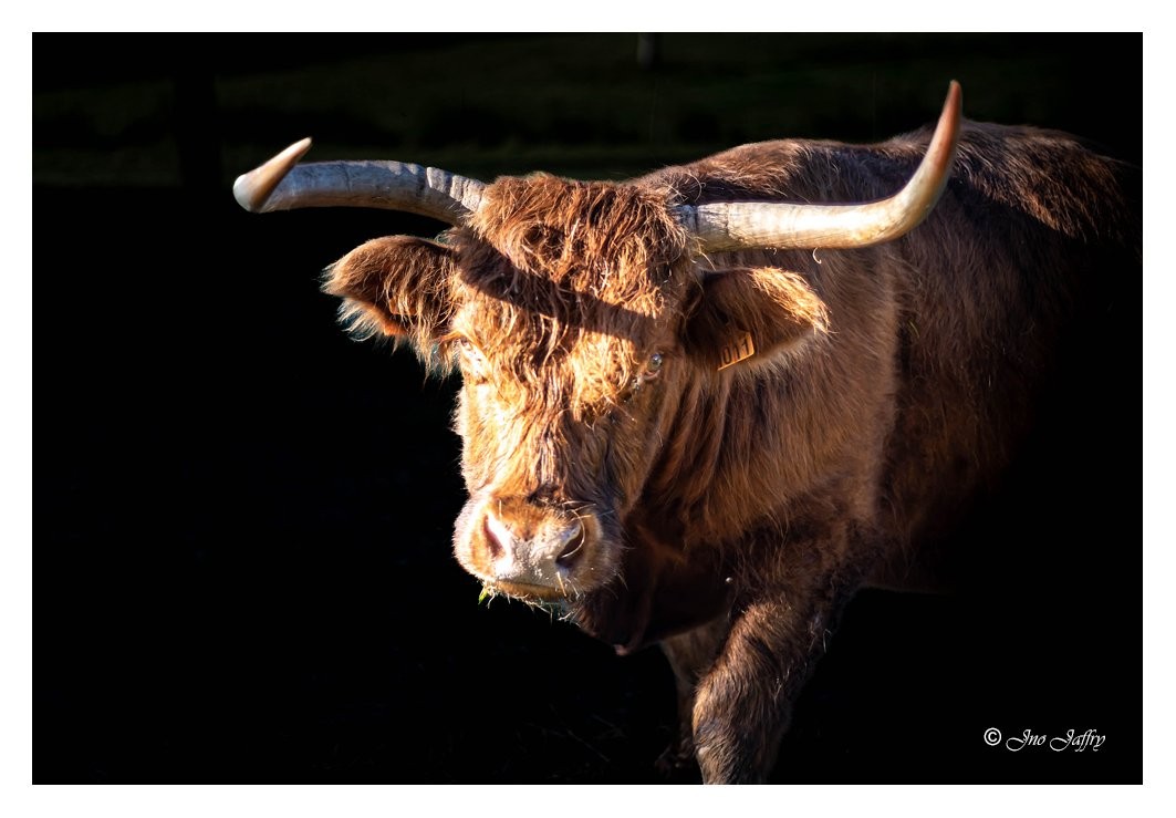 Regard lumineux