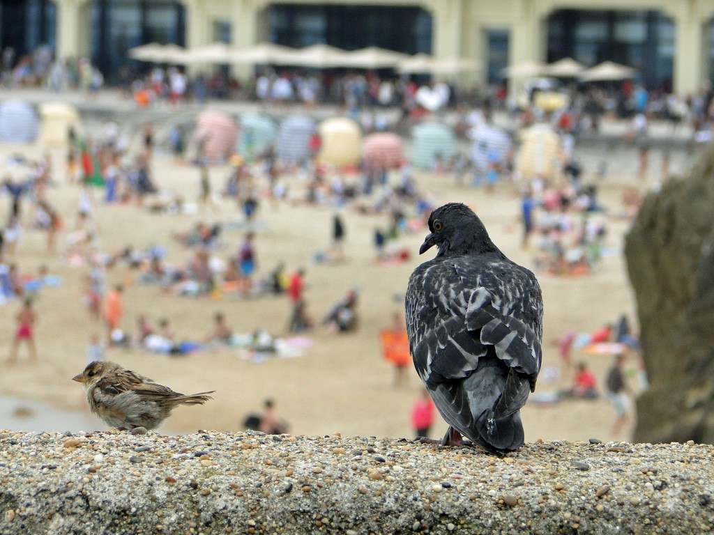 Biarritz