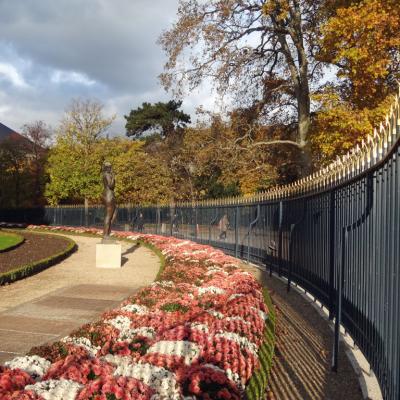 Sénat-jardin