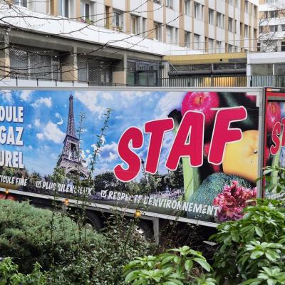 Staf20250129