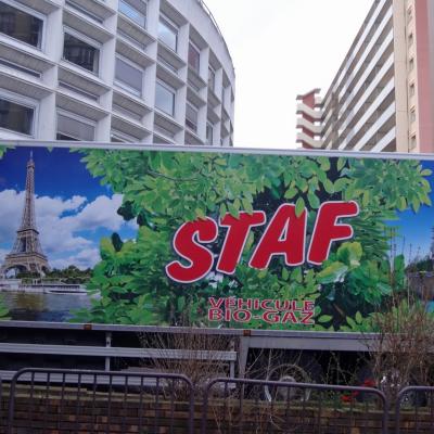 Staf24a