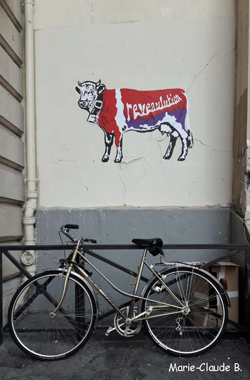 street-vache