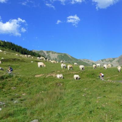 Tourmalet2017