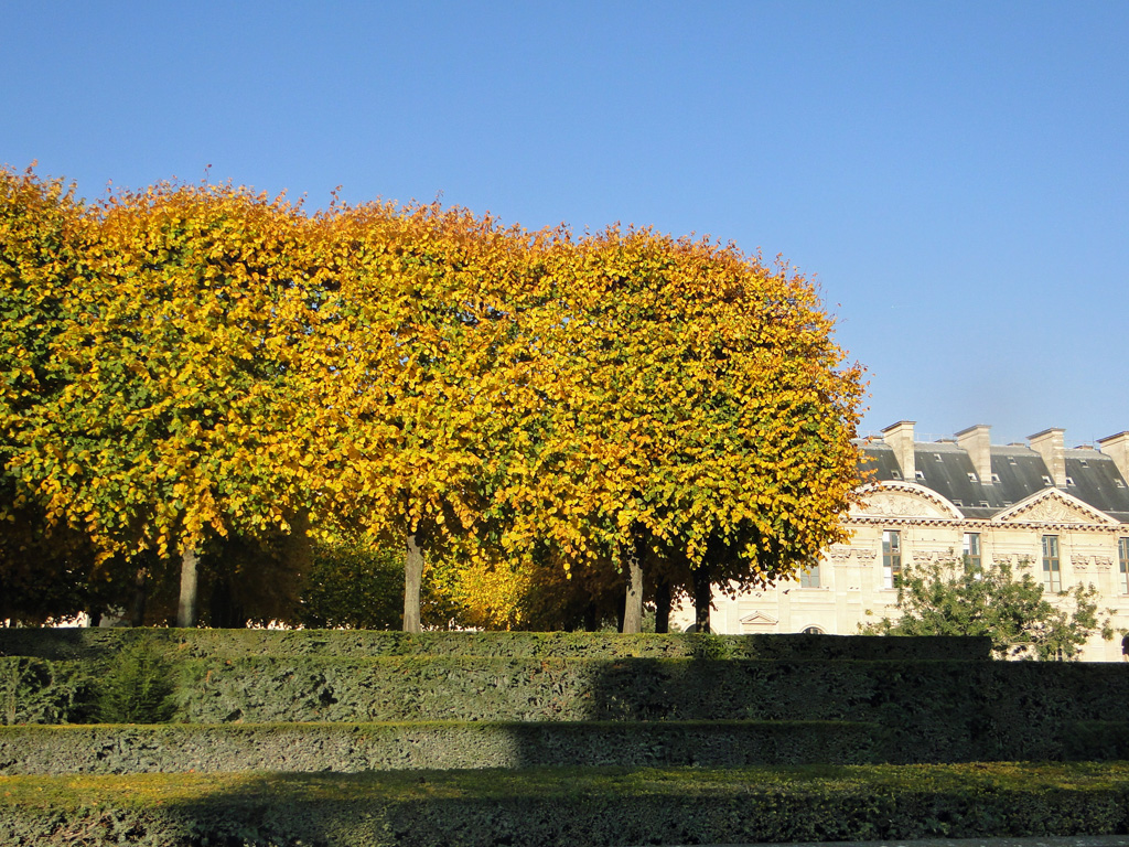 Tuileries