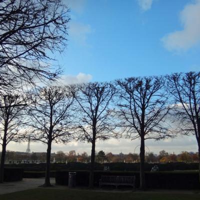 Tuileries