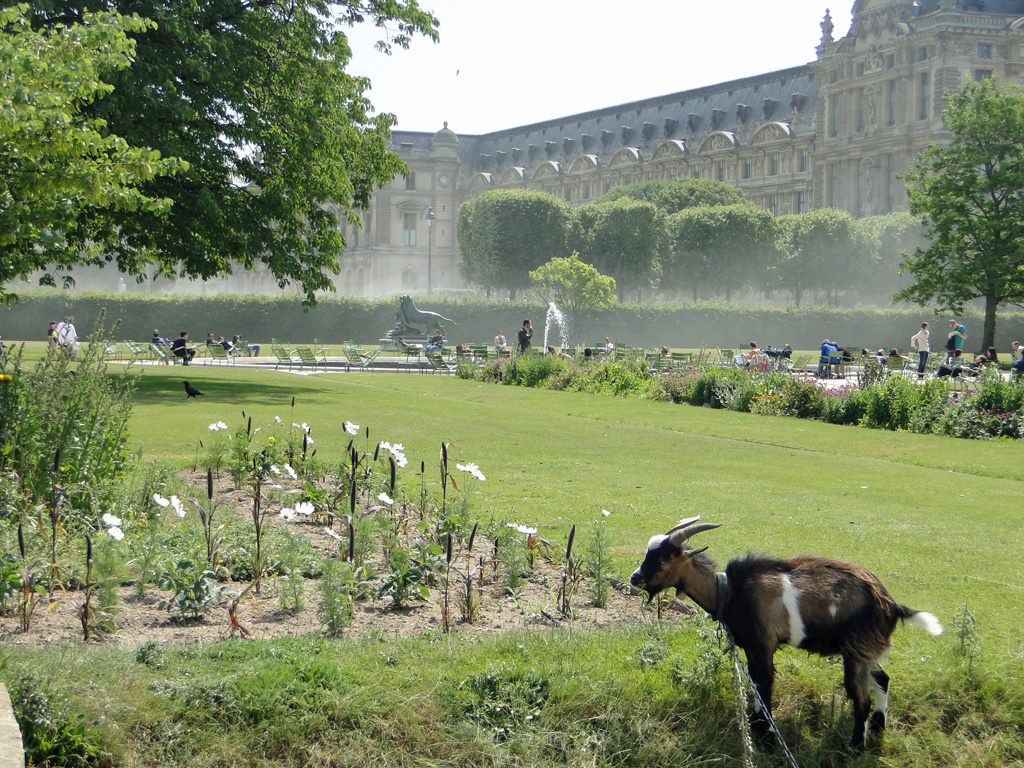 Tuileries3