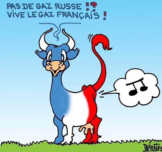 Vache BBR