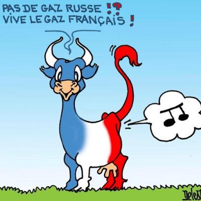 Vache BBR